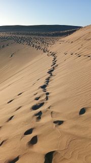 GC-Dunas de Maspalomas sunset 2026-087.jpg